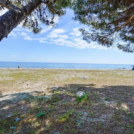 1 Bedroom Amazing In Moriani-Plage